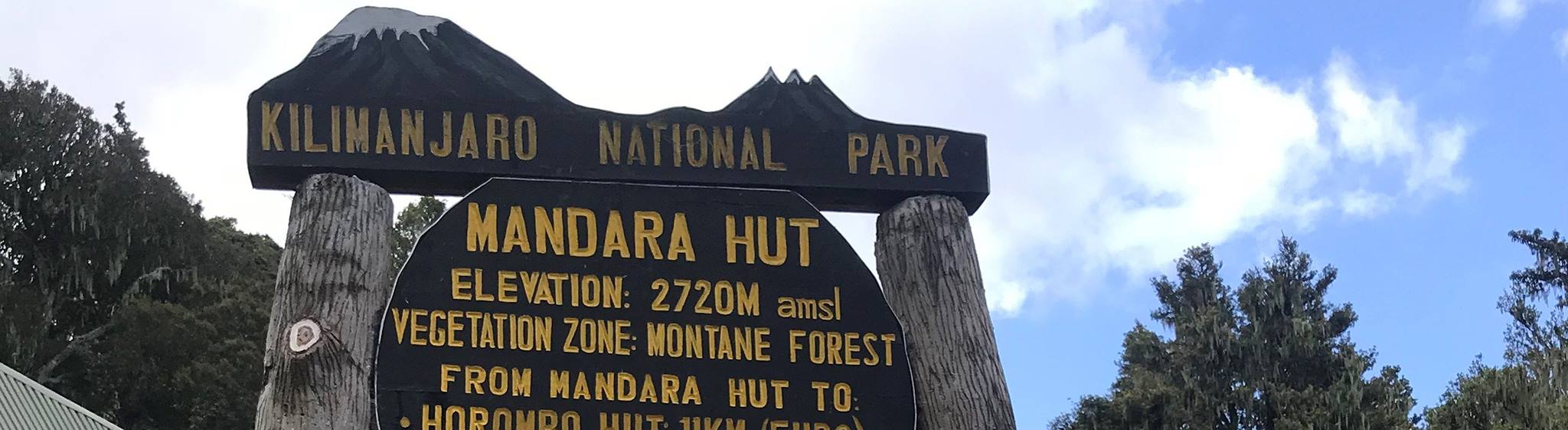 Kilimanjaro day trip climb