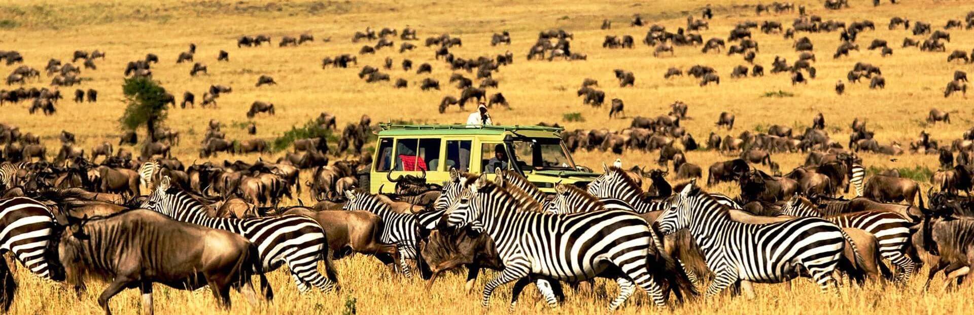 Serengeti-National-Park-1