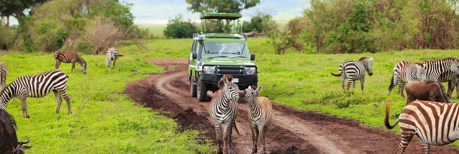 itripcoltd-Tanzania-Tours-Ngorongoro-Crater-safari