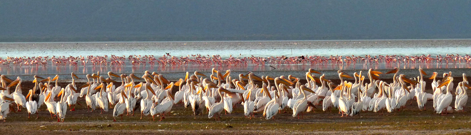 lake-manyara-national-park