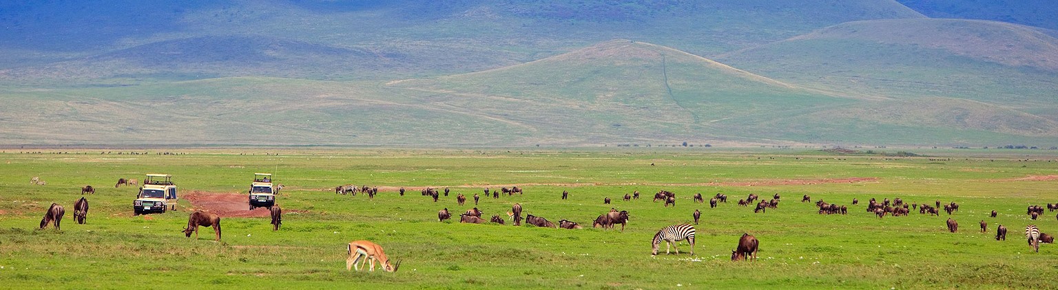 ngorongoro-crater-game-viewing