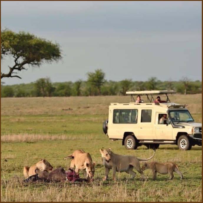 tanzania-safaris