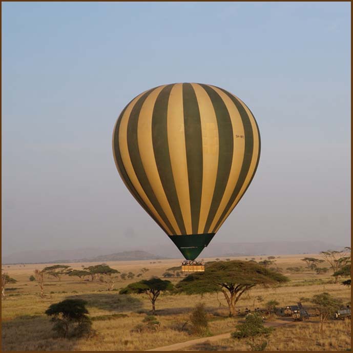 wildebeest migration balloon safari