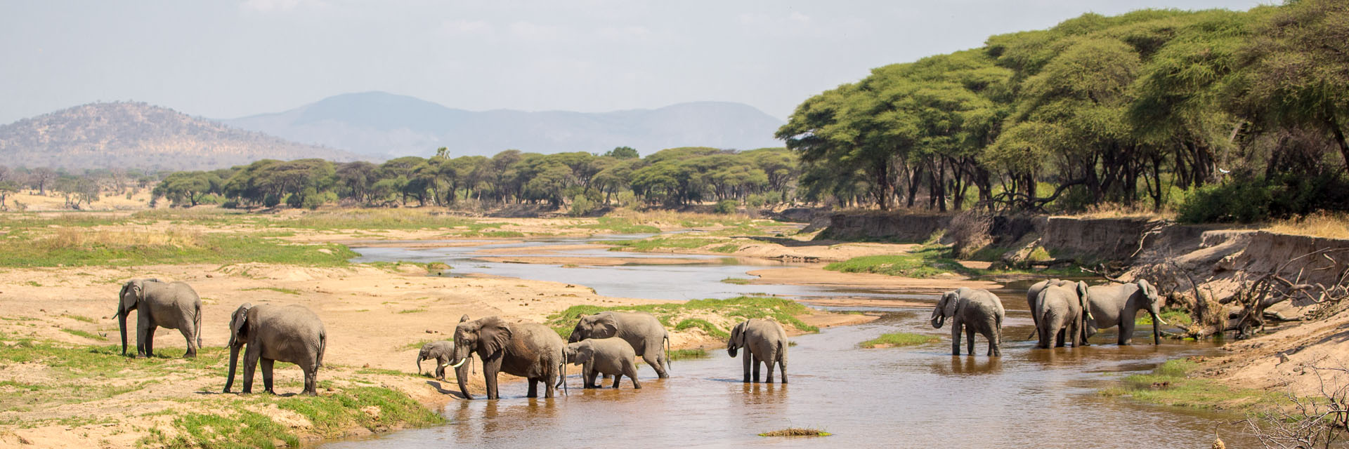 Ruaha-National-Park