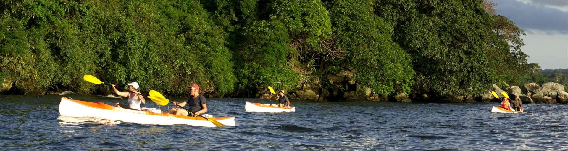 rubondo-island