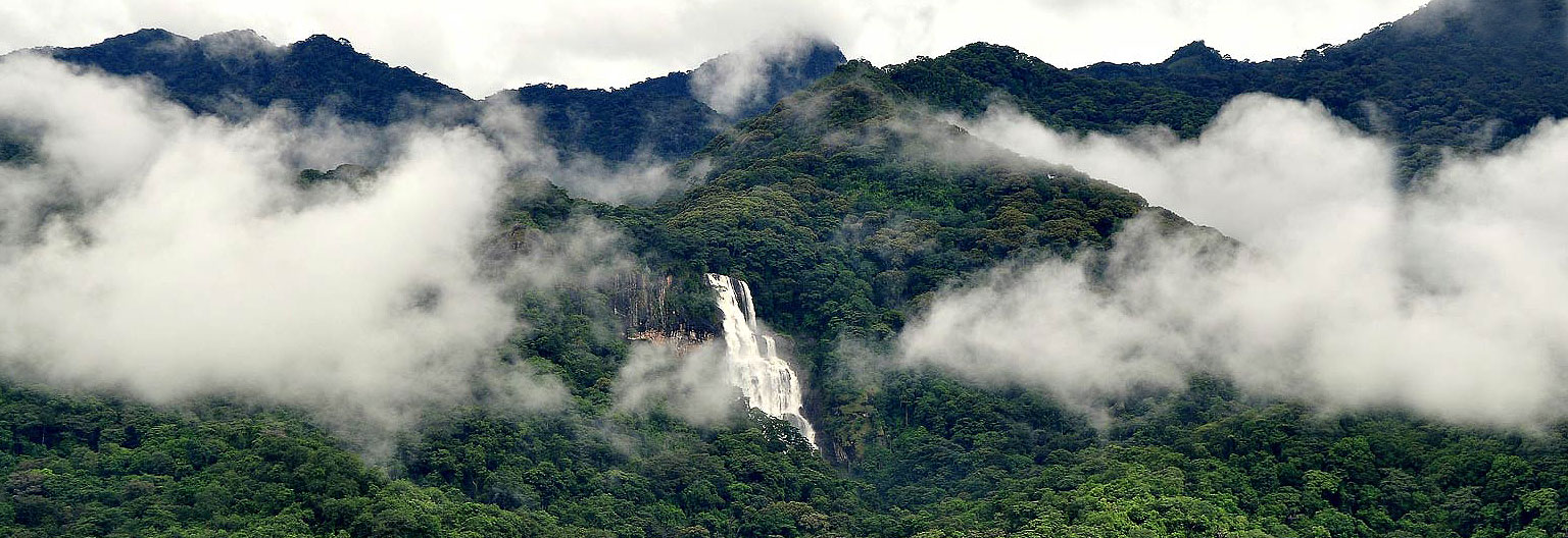 udzungwa-mountains-park